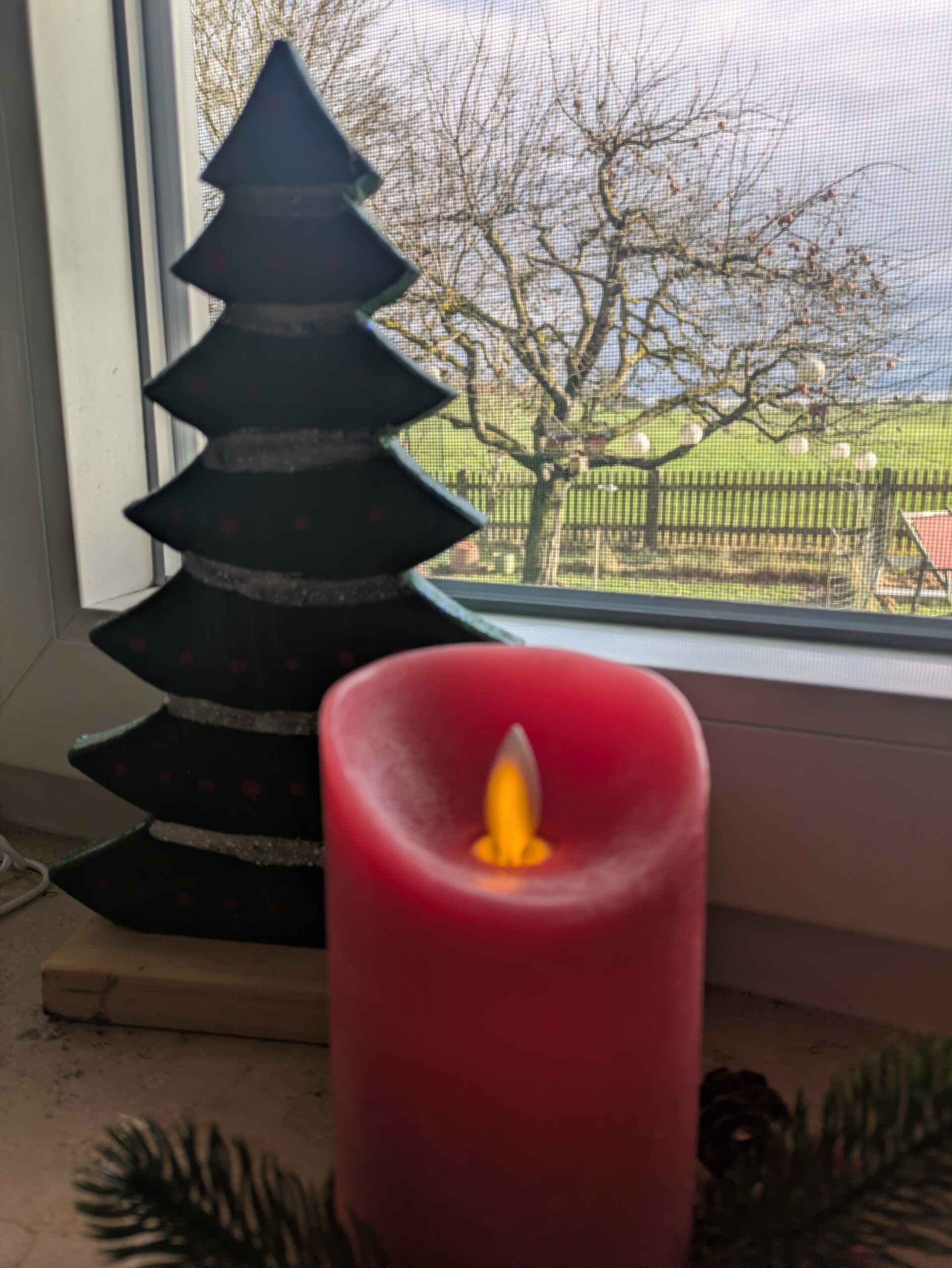 PXL_20251208_095034135