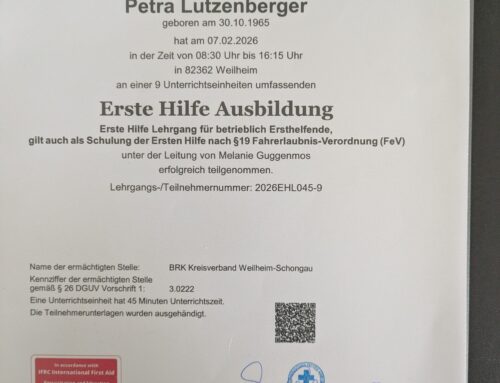 Erste Hilfe Kurs